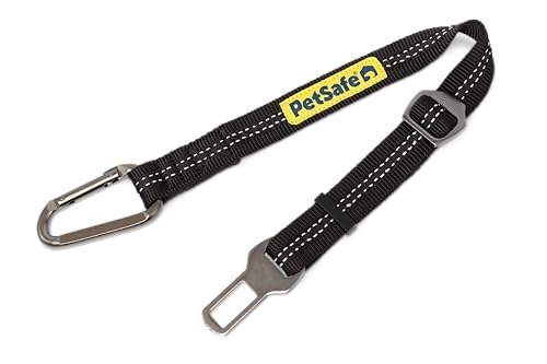PetSafe Safety Seatbelt Tether — Best simple restraint