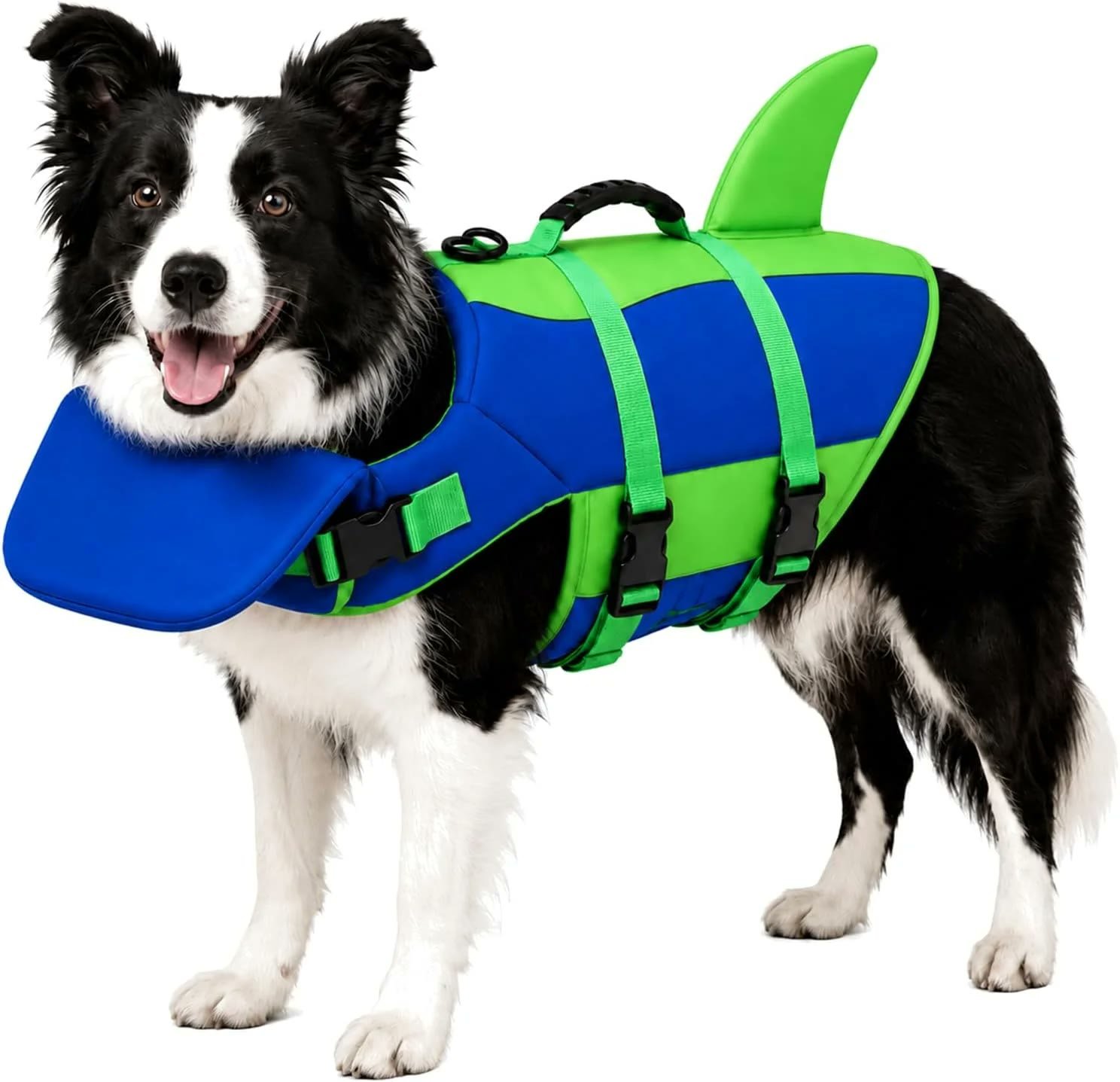 5. Dogcheer Shark with Chin Support — Best for First-Time Swimmers