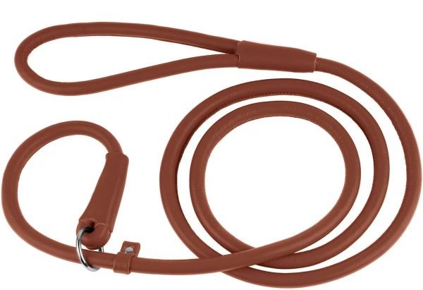 6. CollarDirect Rolled Leather Slip Lead — Best Leather Option