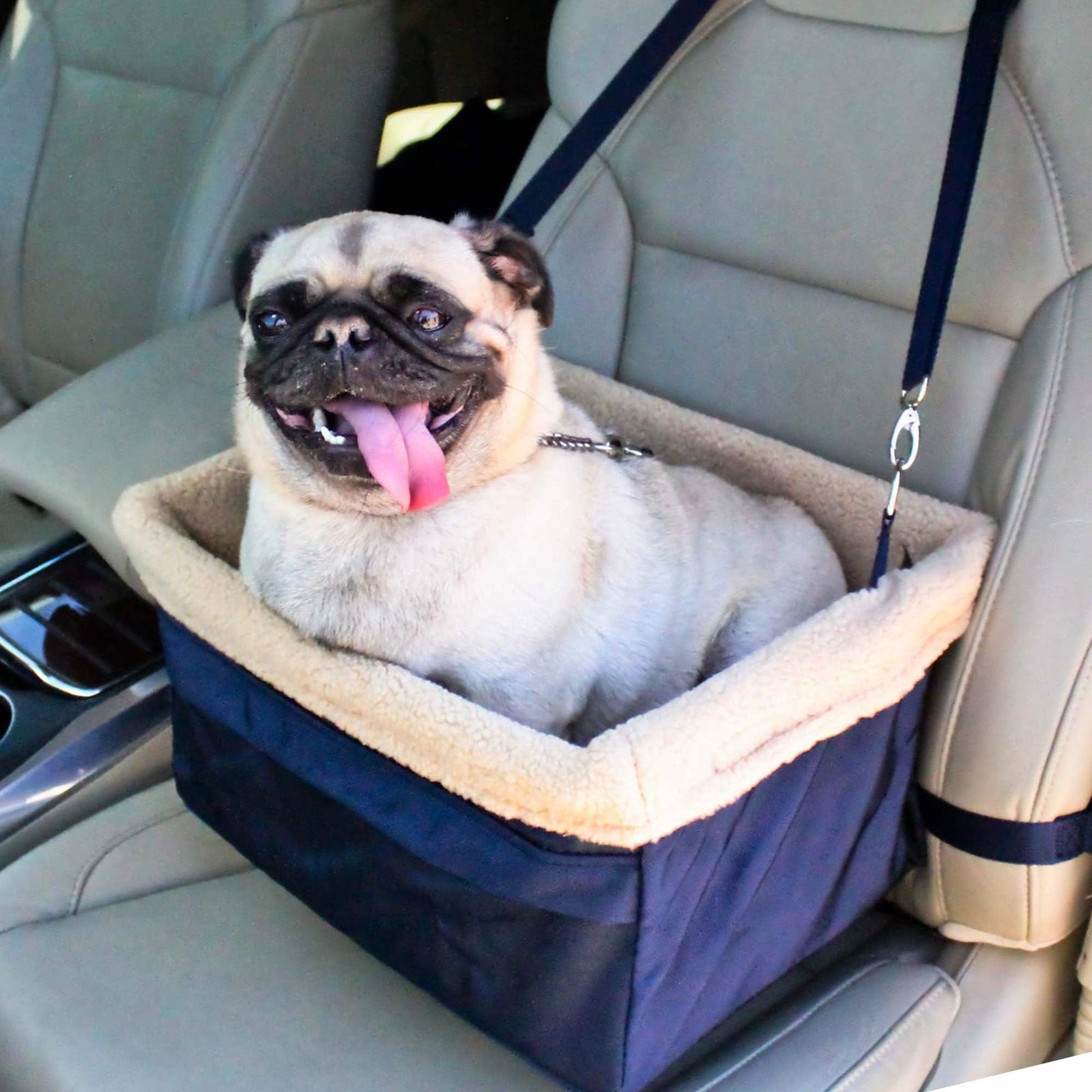 Devoted Doggy Deluxe Booster Seat — Best Structured Support