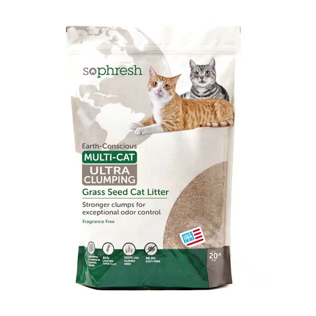 1. Extreme Clumping Unscented Grass Seed Cat Litter, 20 lbs — Best Overall