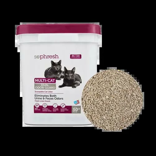 6. Dual Odor Guard Scoopable Cat Litter, 30 lbs — Best Clay Value