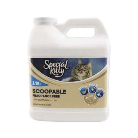 1. Special Kitty Tight Clumping, Fragrance-Free (14 lb Jug) — Best Overall