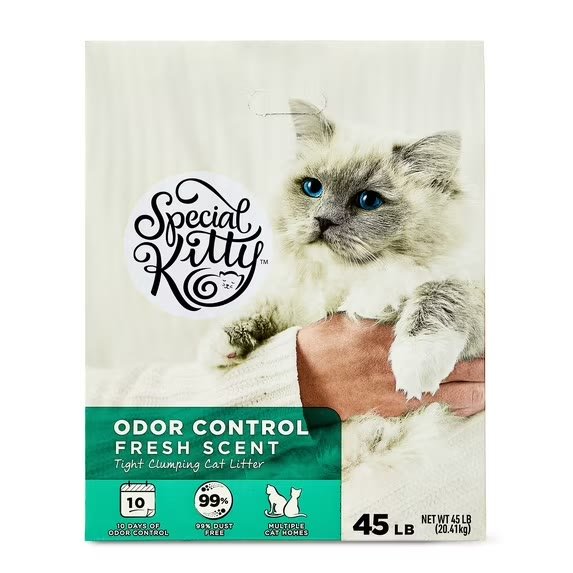 3. Special Kitty Clumping Clay, Fresh Scent (45 lb Box) — Biggest Bag