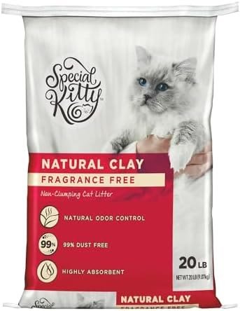 4. Special Kitty Natural Clay Non-Clumping, Unscented (20 lb Bag) — Best Non-Clumping