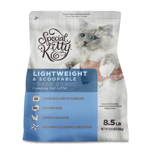 5. Special Kitty Lightweight & Scoopable, Fresh Scent — Best Lightweight Pick