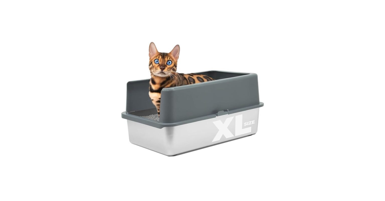 Best Stainless Steel Cat Litter Box 2026: 6 Picks