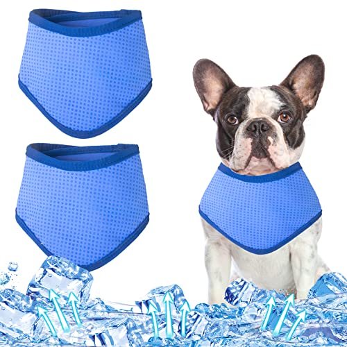 Coppthinktu Dog Cooling Bandana — Best No-Fridge Option