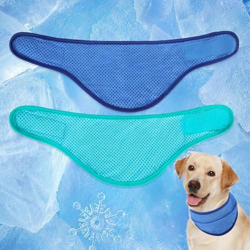 EXPAWLORER Dog Cooling Bandana (2-Pack) — Best 2-Pack Value