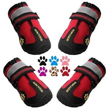 QUMY Dog Boots — Best Overall
