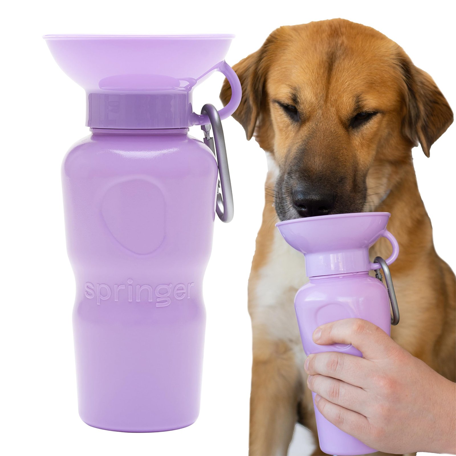 8. Springer Classic Travel Bottle (22 oz) — Best real bowl