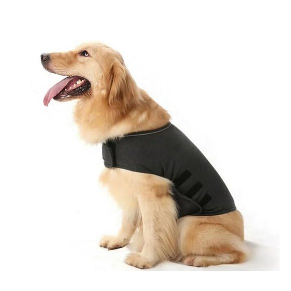 10. TORJOY Dog Anxiety Jacket — Best newer option