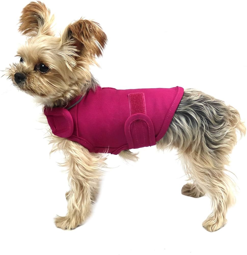 8. KittyStar Breathable Dog Calming Shirt — Best breathable