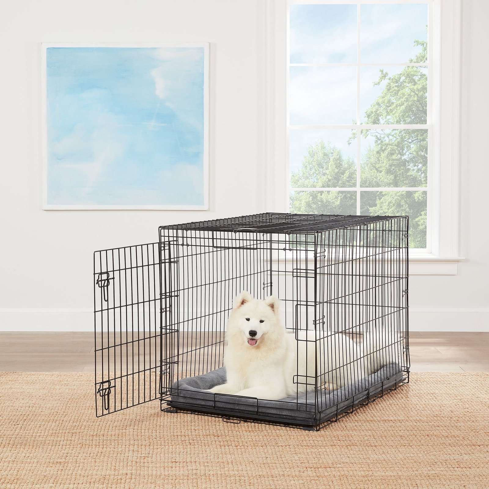 The Crate: Top Paw Single Door Folding Wire Dog Crate