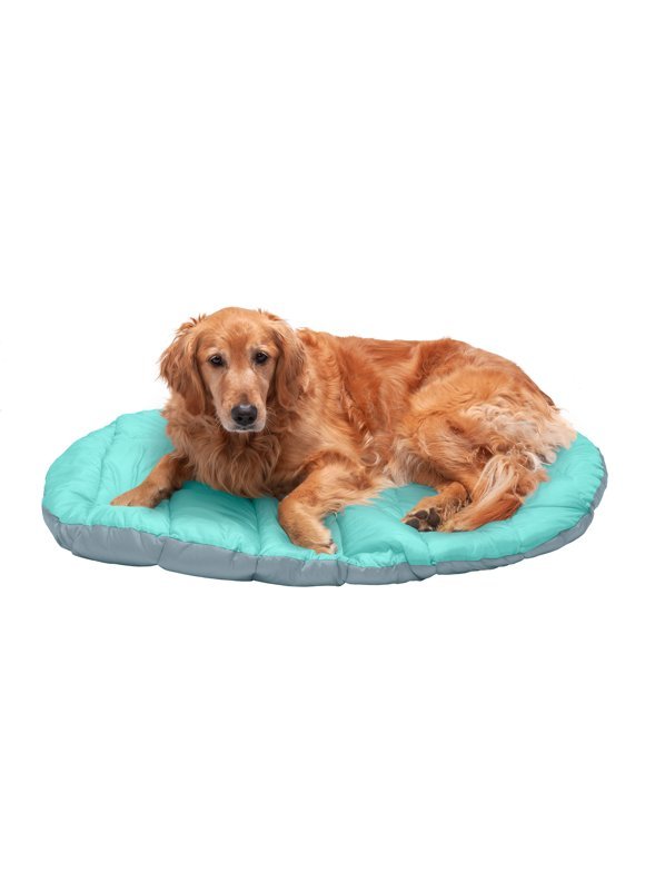 FurHaven Trail Pup Travel Pillow Bed, Small — Best Packable