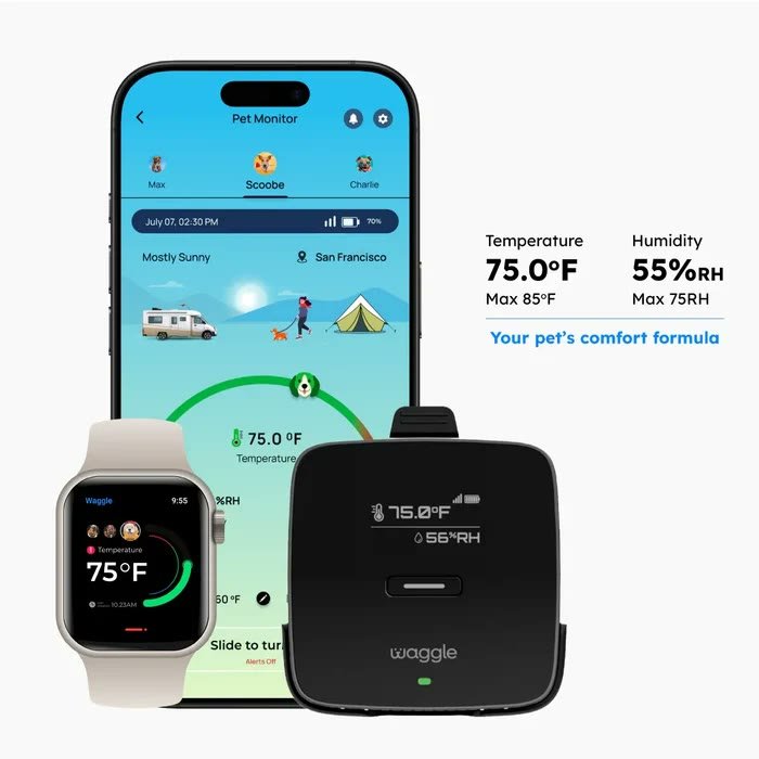 2. Waggle 4G Pet Temperature Monitor Lite — Best Value Waggle