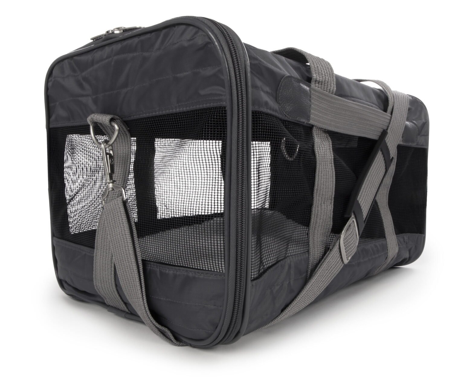 Waterproof Airline Approved Carrier for Small Dog 2026: 6 Weather-Resistant Picks