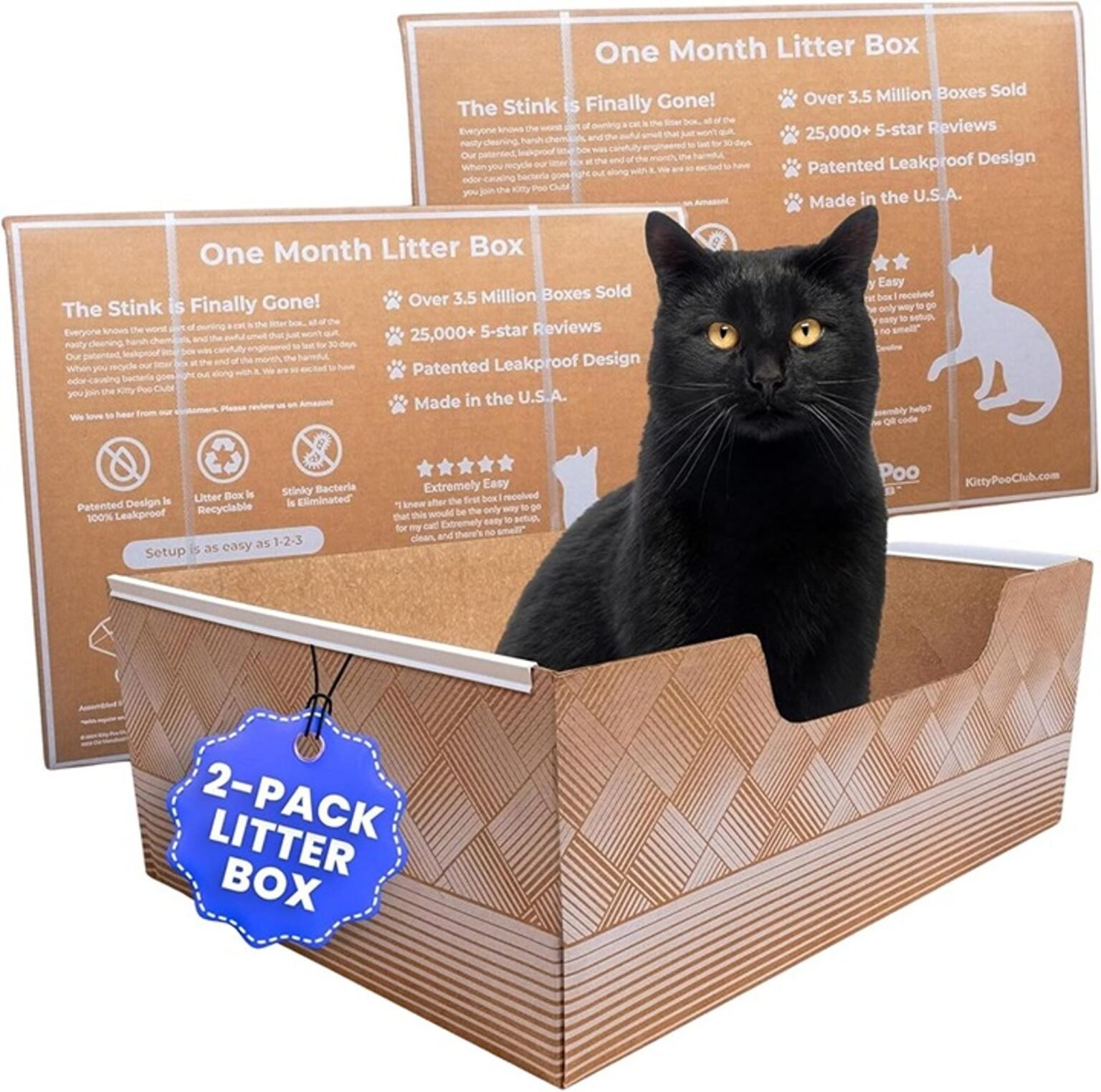 Waterproof Disposable Litter Box for Puppy 2026: 6 Leak-Proof Picks