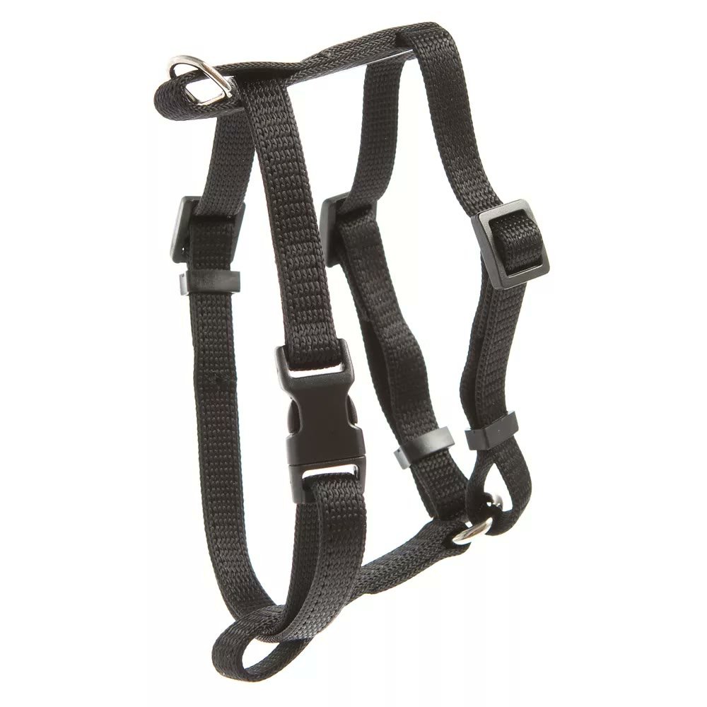 1. Whisker City Basic Cat Harness — Best Cheapest Starter