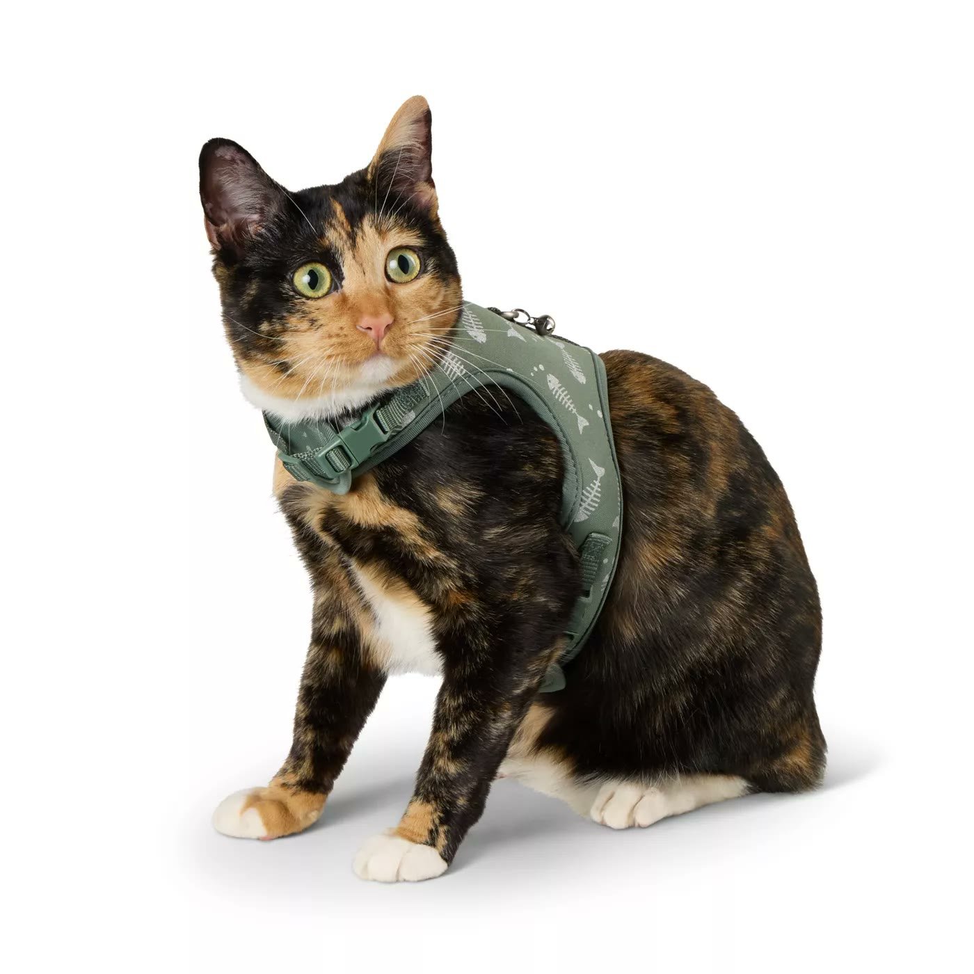 2. Whisker City Fish Foil Harness & Leash Combo Set — Best Cute Vest Pick