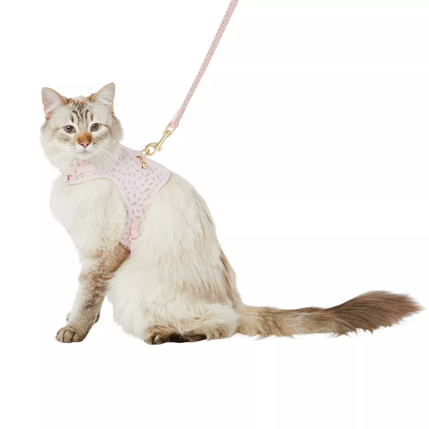 3. Whisker City Pink & Gold Harness & Leash Combo Set — Best Kitten Starter Kit