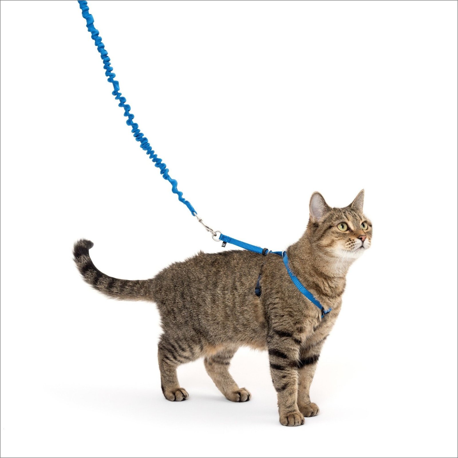 4. PetSafe Come With Me Kitty Harness & Bungee Leash — Best H-Style Alternative