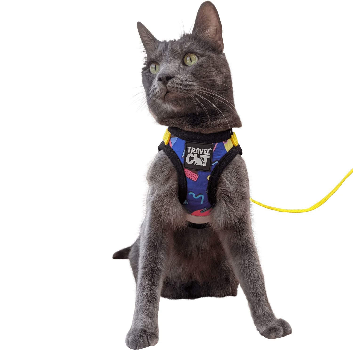 6. Travel Cat "The True Adventurer" Harness & Leash — Best Vest Alternative