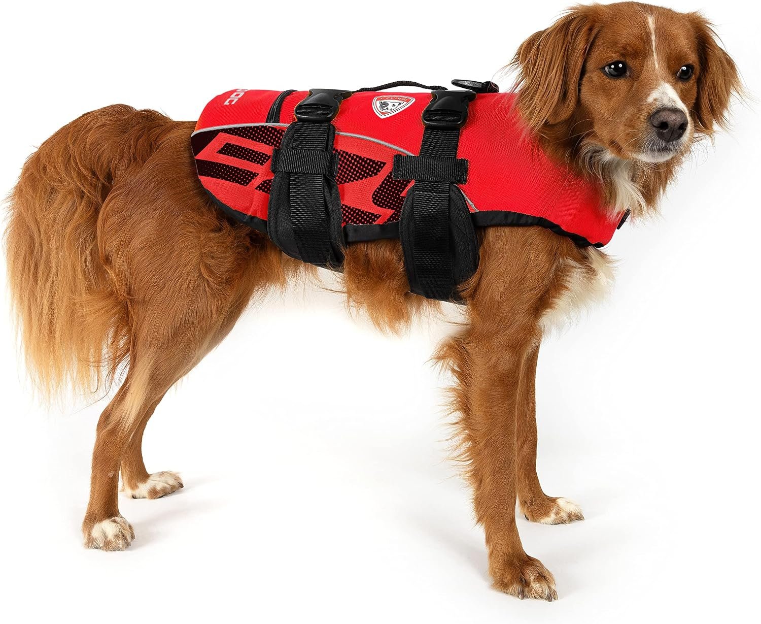 3. EzyDog DFD Premium — Best Maximum Buoyancy