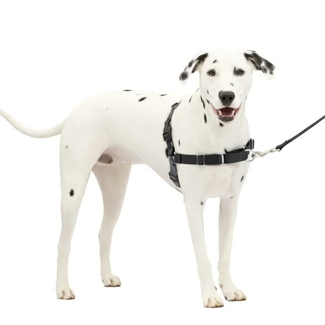 2. PetSafe Easy Walk No-Pull Harness — Easiest to Find