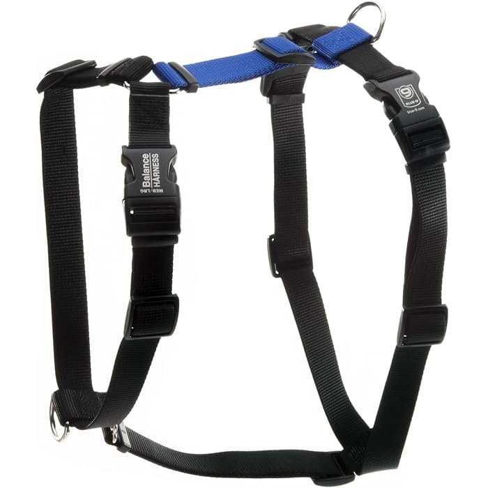 1. Blue-9 Buckle-Neck Balance Harness — Best Overall